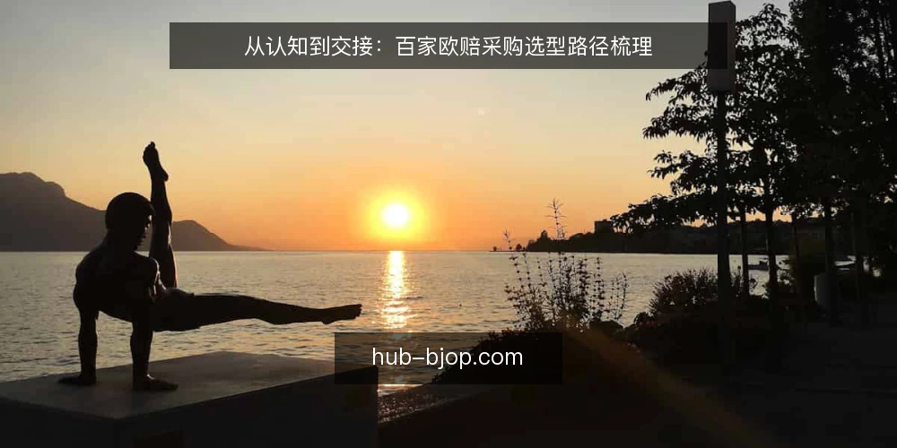 从认知到交接：百家欧赔采购选型路径梳理 — 界定需求：先明确用百家欧赔解决什么问题 配图